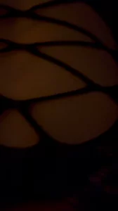 依旧全自动 拍的不清