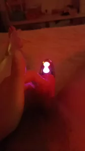 仙踪林网站首页